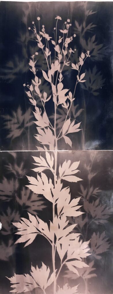 A pink and black print of leaves.