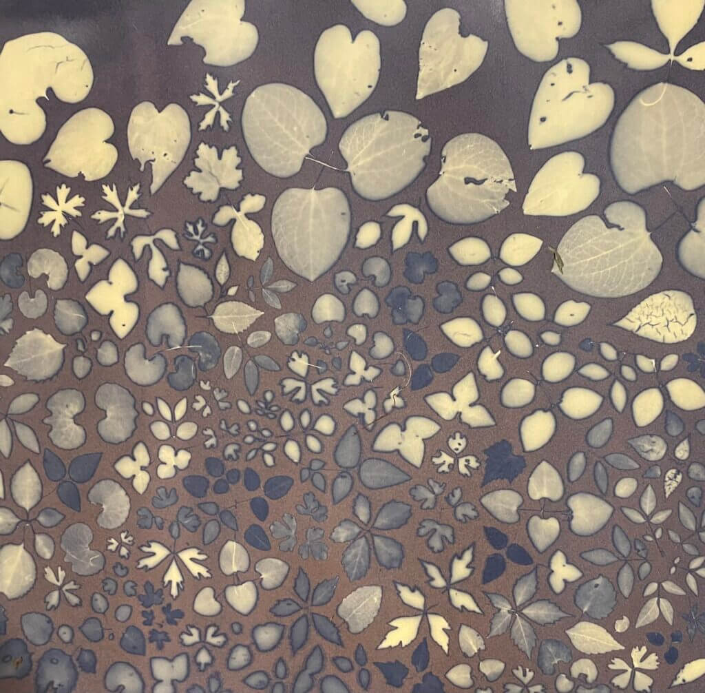 Two tones plant print. 