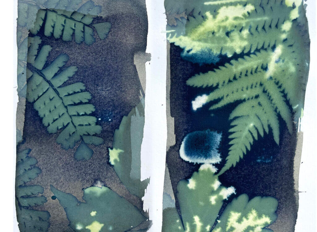 A pile of plant prints. 